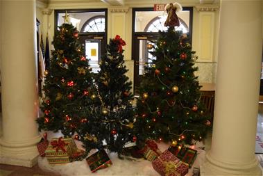 City Hall Christmas trees